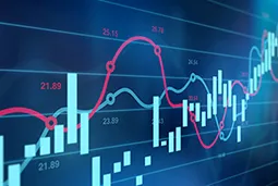 Accounting digital graph on the screen