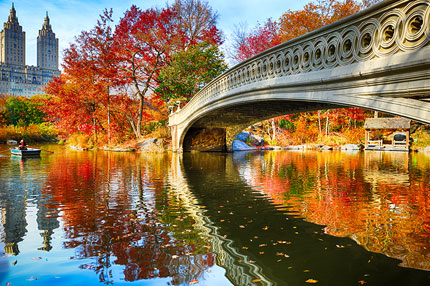 Central park in New York